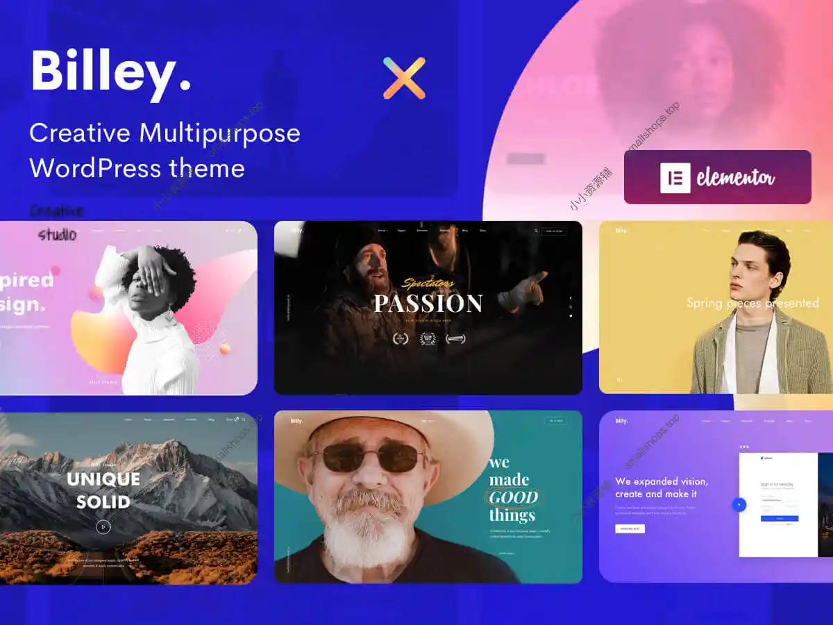 Billey 2.2.2英文版|创意作品集与代理机构 Elementor WordPress 主题分享