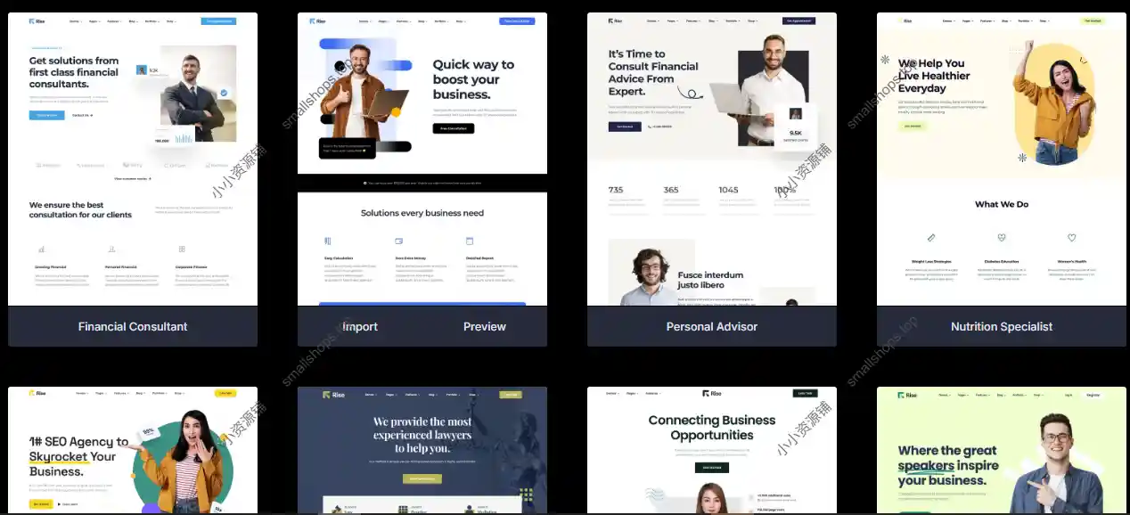 Rise 4.3.3英文版|商业与咨询 WordPress 主题分享下载