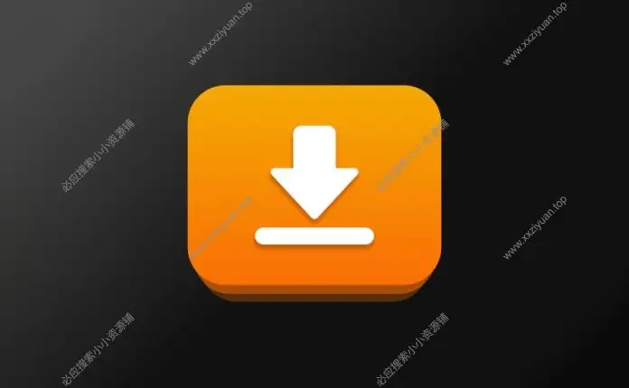 iDownerGo v10.5.0 多平台视频音乐下载工具便携版
