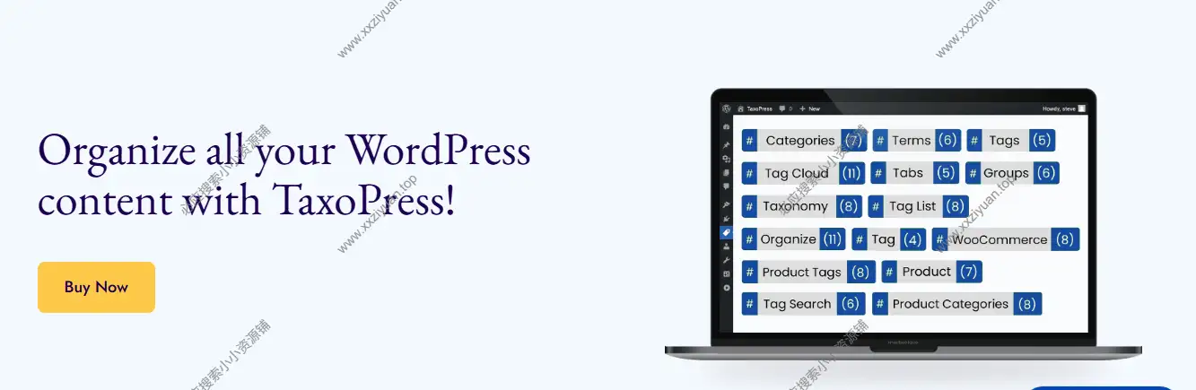 TaxoPress Pro v3.44.0 已激活WordPress 网站标签分类术语管理及自动链接插件