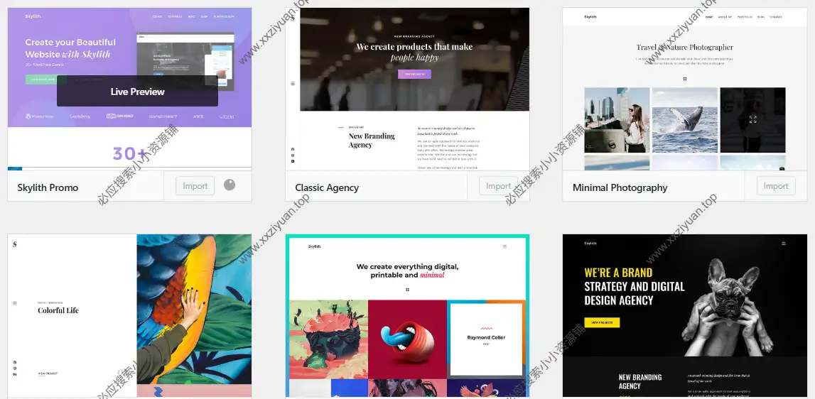 WordPress 多用途古腾堡主题 – Skylith v1.3.7英文版分享