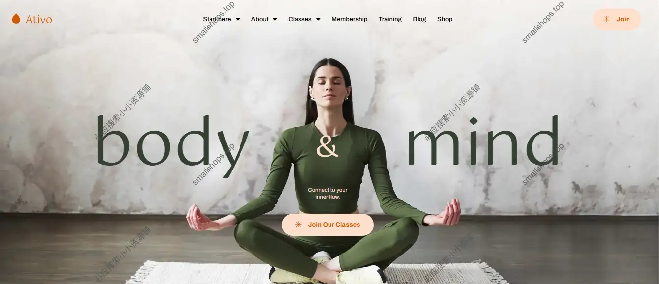 WordPress 瑜伽普拉提主题 – Ativo v28 英文版已激活-1 WordPress 瑜伽普拉提主题 – Ativo v28 英文版已激活-1