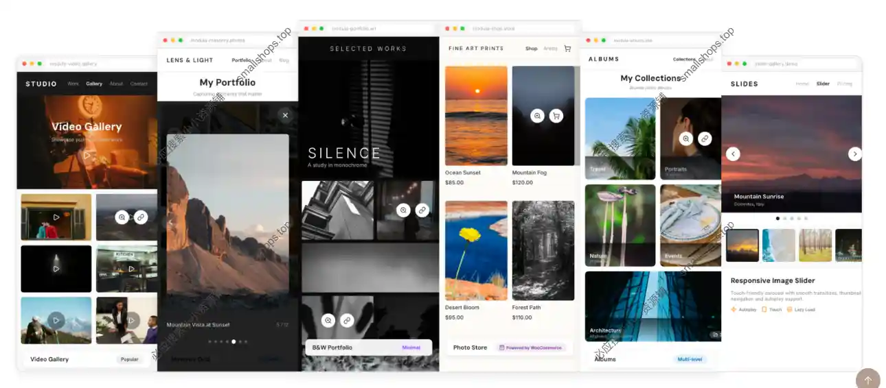 Modula PRO 2.10.5已激活 – 最佳的 WordPress 画廊相册管理插件之一-1