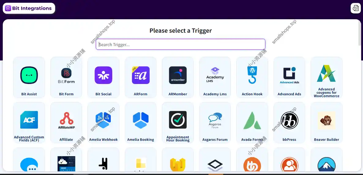 Bit Integrations Pro 2.1.1已激活英文版 – WordPress 自动化集成插件