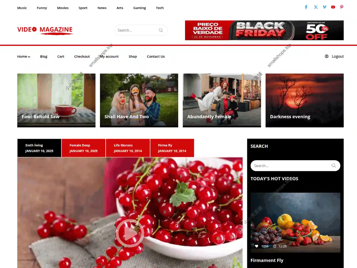 Video Magazine v1.0.1 英文版 WordPress 视频杂志主题